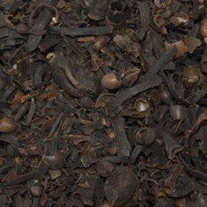 FUCUS