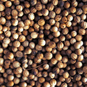 CILANTRO EN GRANO