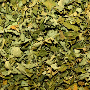MORINGA