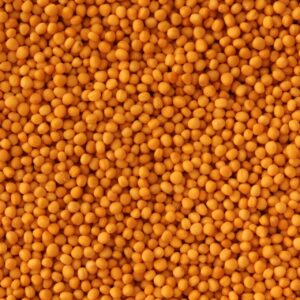 MOSTAZA EN GRANO