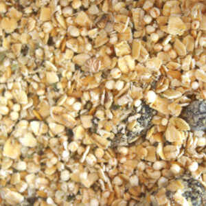 MUESLI
