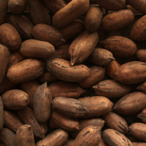 NUECES PECANAS CON CÁSCARA