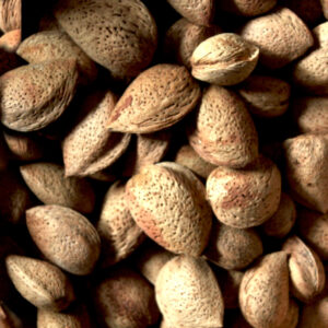 ALMENDRA CON CÁSCARA