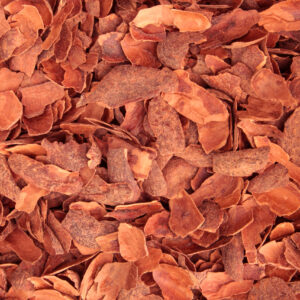 CÁSCARAS DE CACAO
