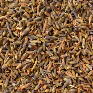 LAVANDA