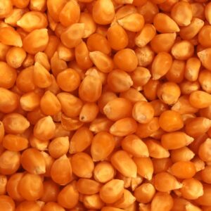 MAÍZ (PALOMITAS)
