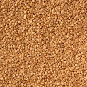 QUINOA