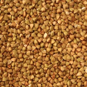 GRANO DE SARRACENO