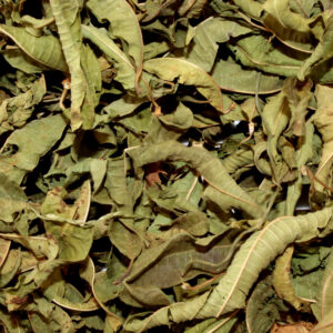 HIERBA LUISA