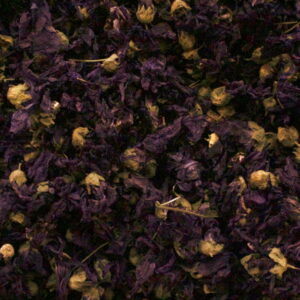 MALVA FLOR