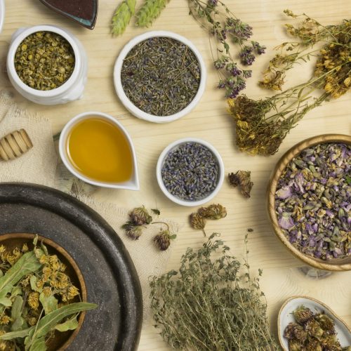 flat-lay-natural-medicinal-spices-herbs flat-lay-natural-medicinal-spices-herbs