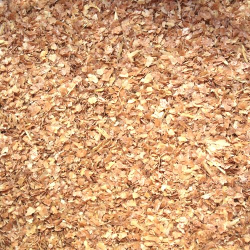 salvadotrigo