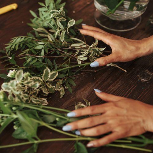 woman-s-hand-sorting-plants-wooden-desk woman-s-hand-sorting-plants-wooden-desk